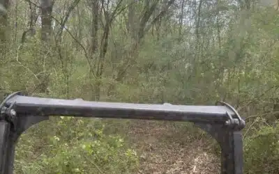 Clearing Overgrown Fence Lines: Why Forestry Mulching is the Best Solution