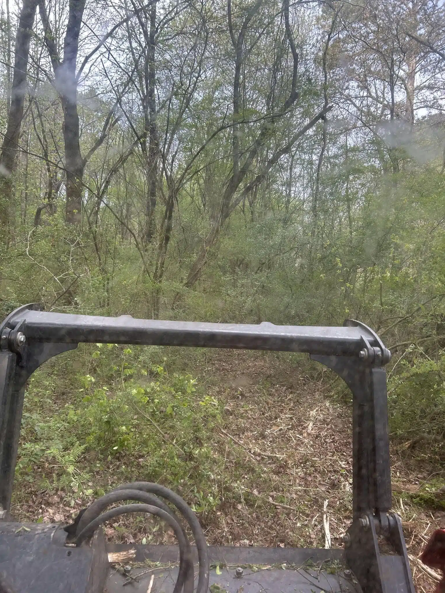 View from tractor facing wooded trail