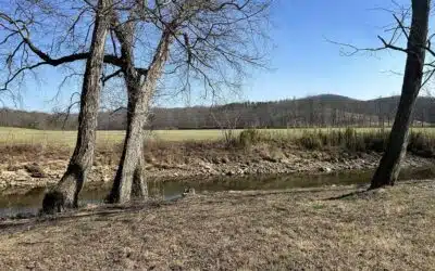 Spring Property Preparation: Why Early Land Clearing Saves Time and Money