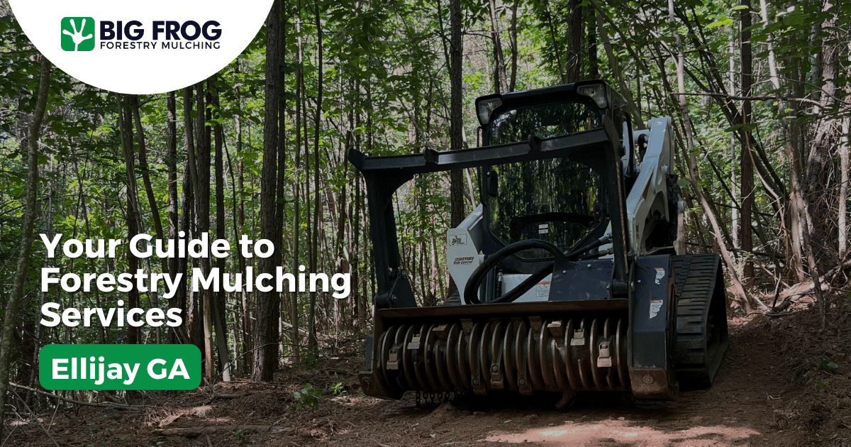 Expert Forestry Mulching & Land Clearing Services in Ellijay GA - Big ...