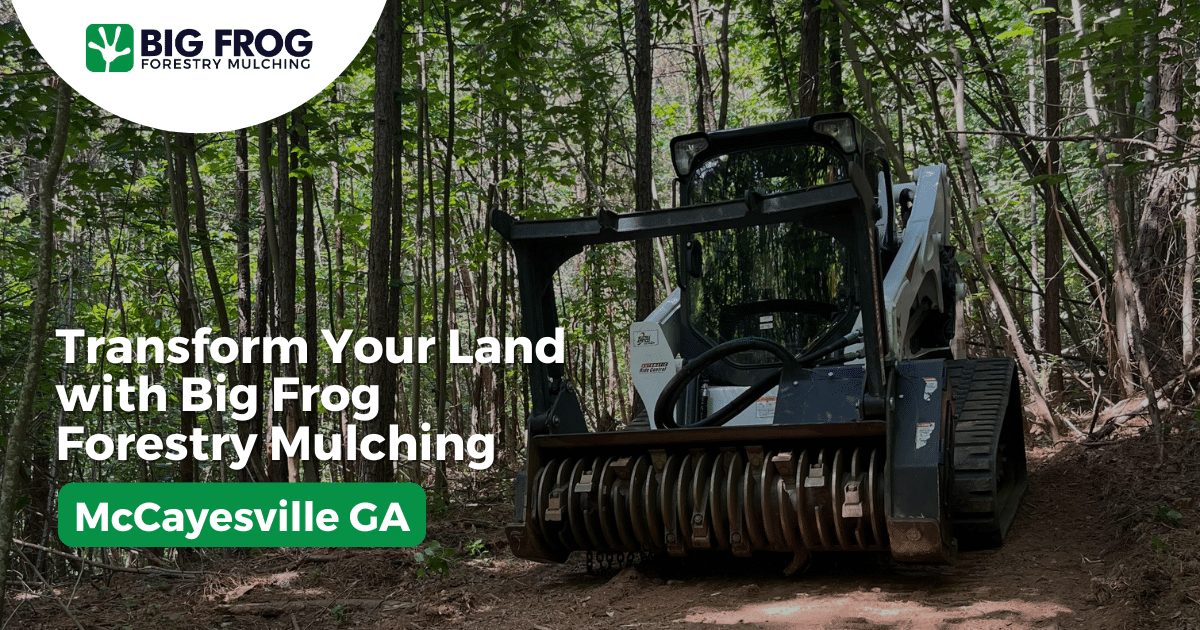 Forestry Mulching & Land Clearing Services McCaysville GA - Big Frog ...