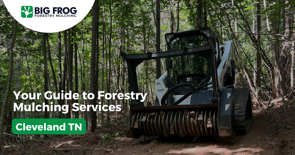 Expert Forestry Mulching & Land Clearing Services in Cleveland TN - Big ...