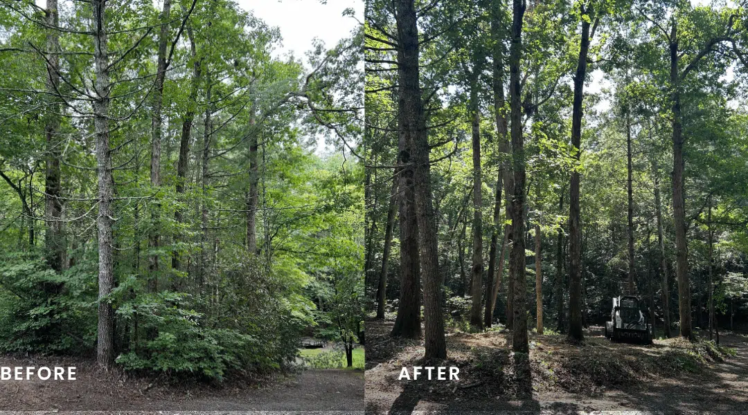 Forestry Mulching Cost in North Georgia: A Transparent Guide