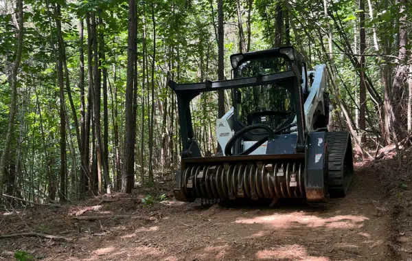 Forestry Mulching & Land Clearing by Big Frog Mulching
