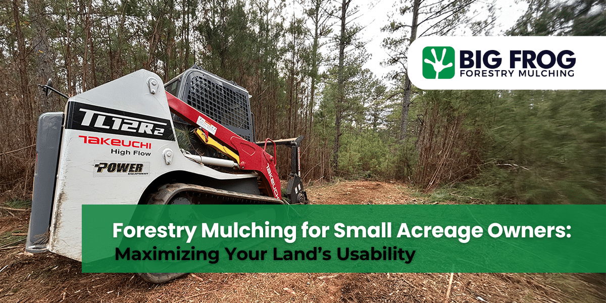 Forestry Mulching for Small Acreage | North Georgia Land Tips
