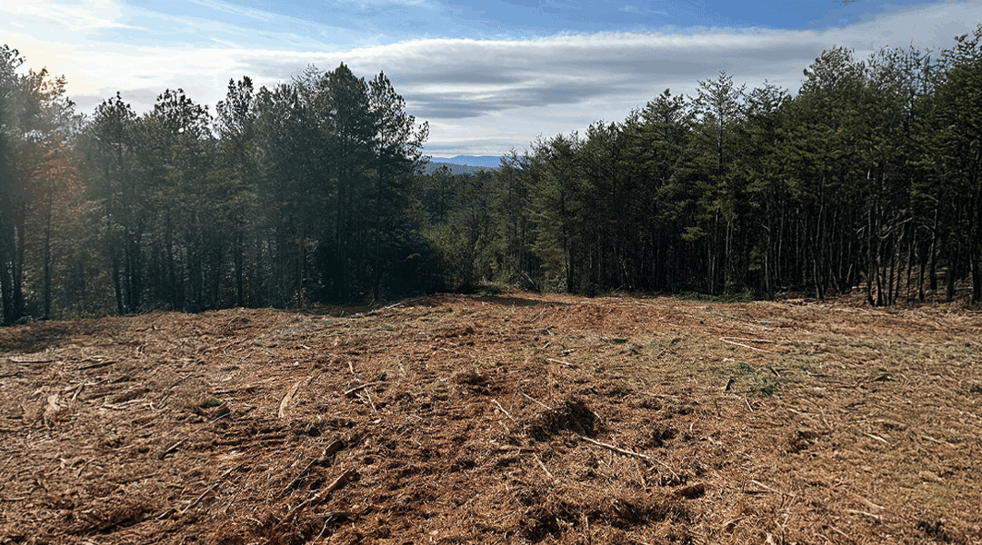 Forestry Mulching vs. Traditional Land Clearing