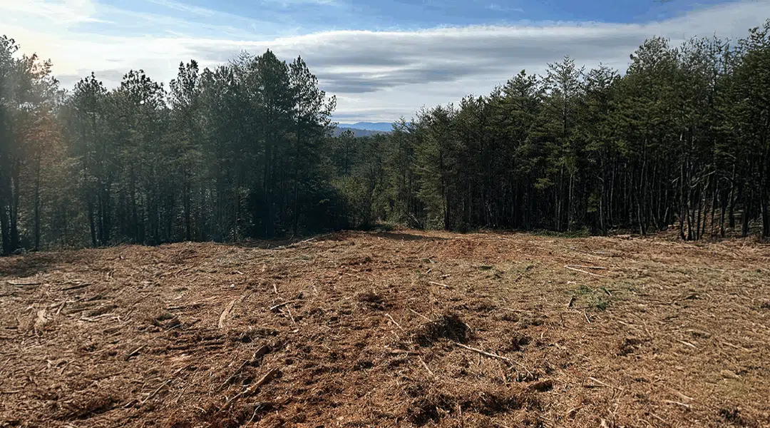 Forestry Mulching vs. Traditional Land Clearing