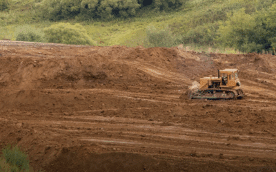 How Much Land Can Be Cleared in a Day? Understanding Project Timelines for Forestry Mulching