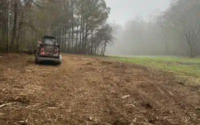 The Complete Guide to Permit Requirements for Land Clearing in Fannin County, GA