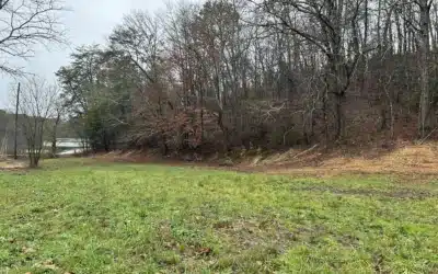 Creating Beautiful Trails and Recreational Spaces with Forestry Mulching