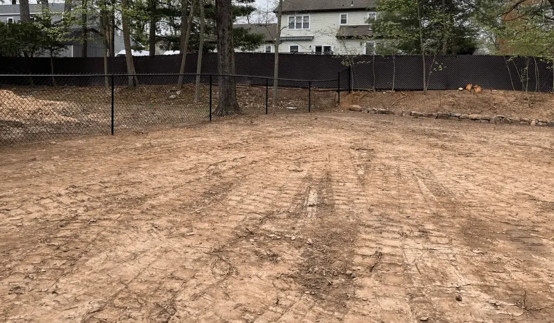 Maintaining Property Lines and Fence Rows: The Benefits of Regular Clearing