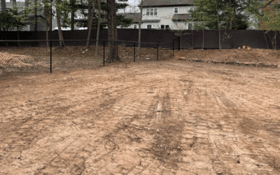 Maintaining Property Lines and Fence Rows: The Benefits of Regular Clearing