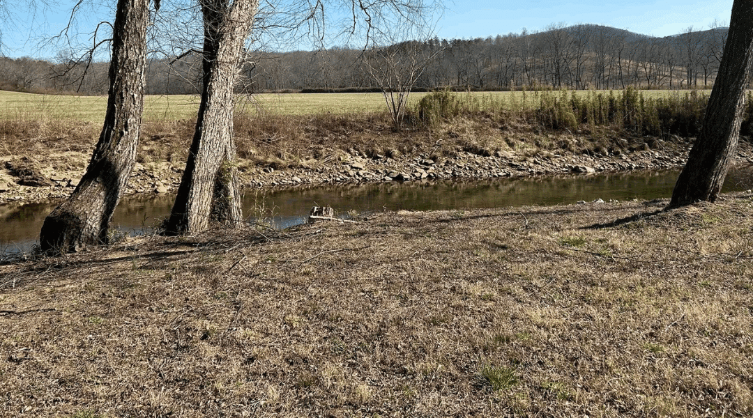 Environmental Benefits of Forestry Mulching vs. Traditional Methods