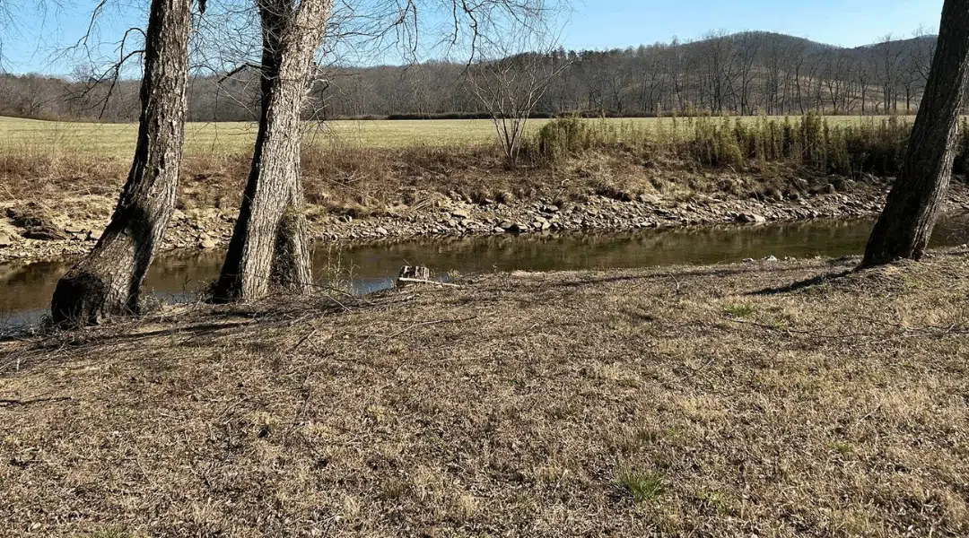 Environmental Benefits of Forestry Mulching vs. Traditional Methods