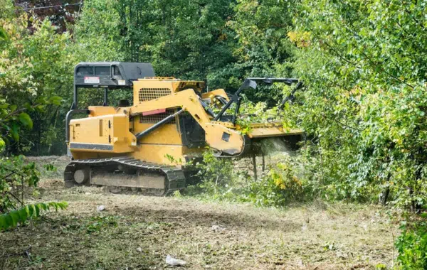 Underbrushing Services