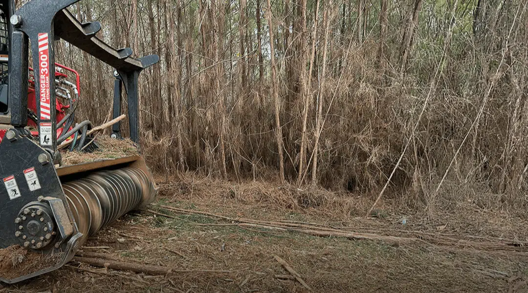 What Rural Landowners Need to Know About Forestry Mulching in North Georgia