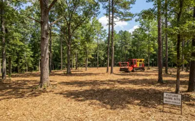 Forestry Mulching for New Construction: What Property Owners Should Know